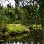 <palign=center> Parc national La Mauricie, derrière le lac Bouchard